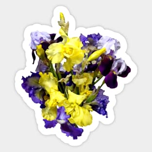 Assortment of Irises Yellow and Purple Sticker